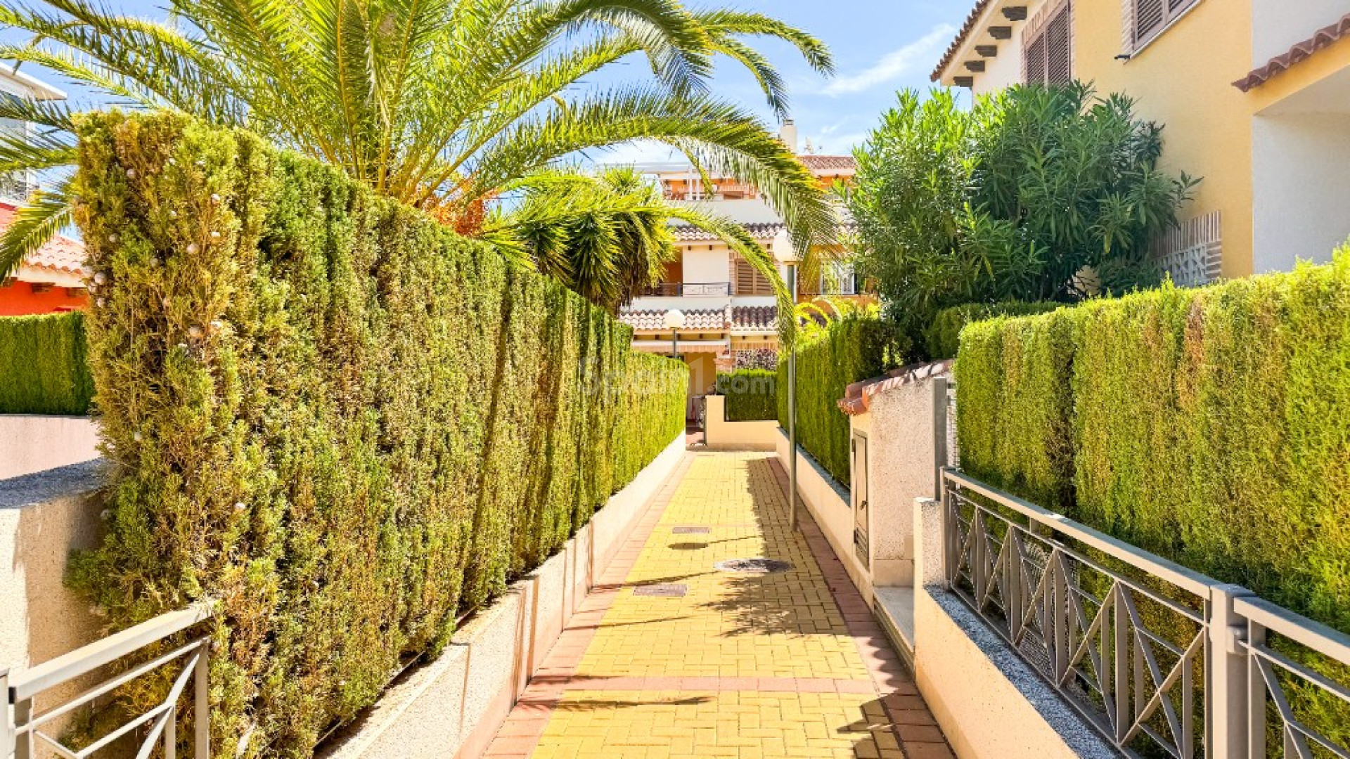 Alquiler a corto plazo - Apartamento -
Playa Flamenca - Zeniamar