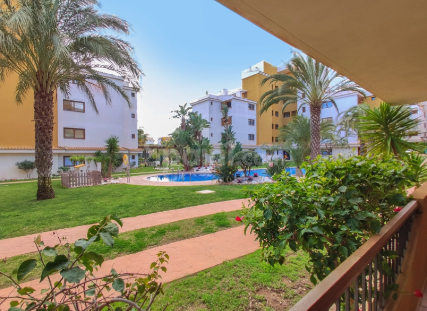 Alquiler a corto plazo - Apartamento -
Punta Prima