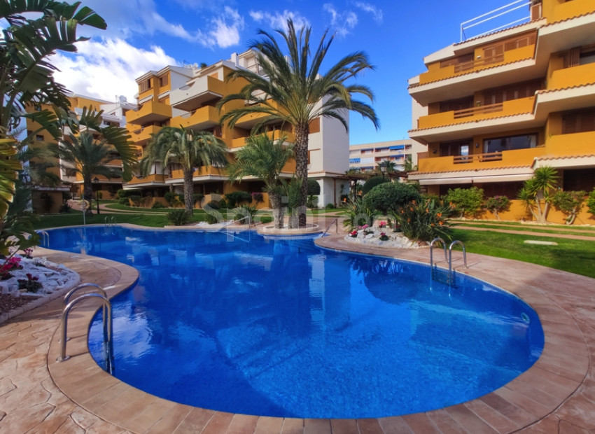 Alquiler a corto plazo - Apartamento -
Punta Prima