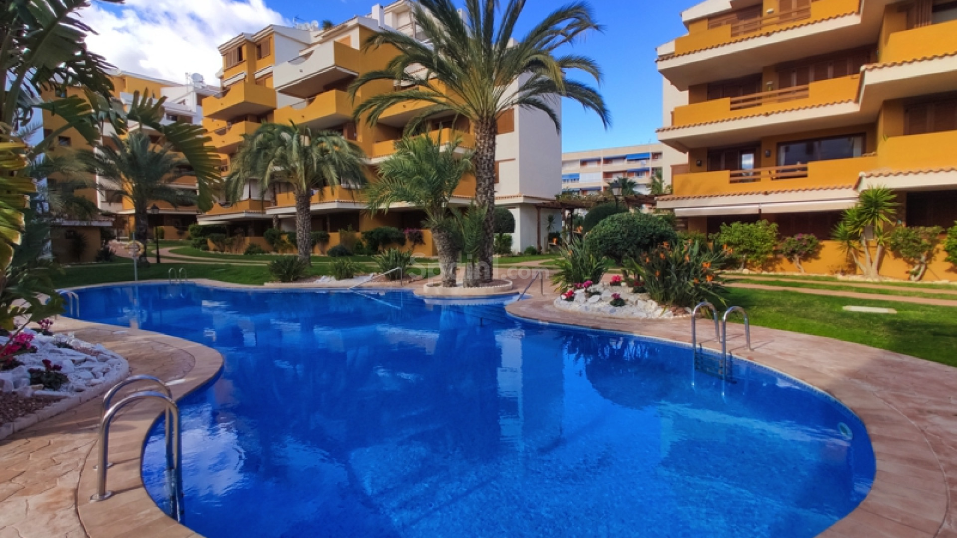 Alquiler a corto plazo - Apartamento -
Punta Prima