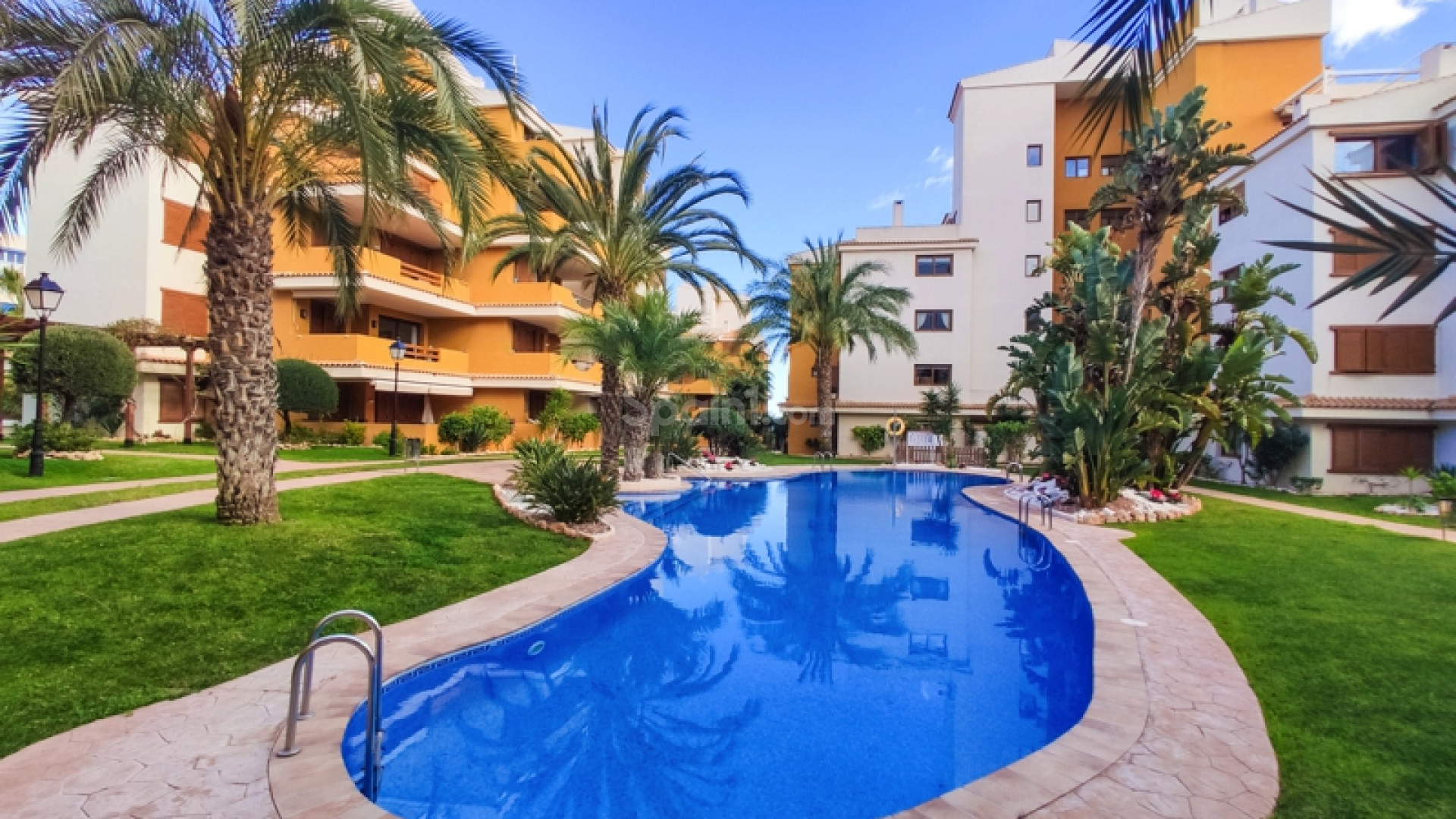 Alquiler a corto plazo - Apartamento -
Punta Prima