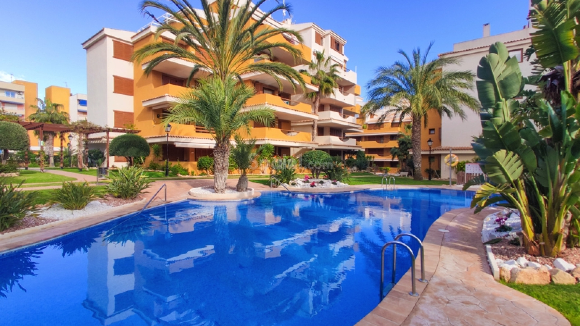 Alquiler a corto plazo - Apartamento -
Punta Prima