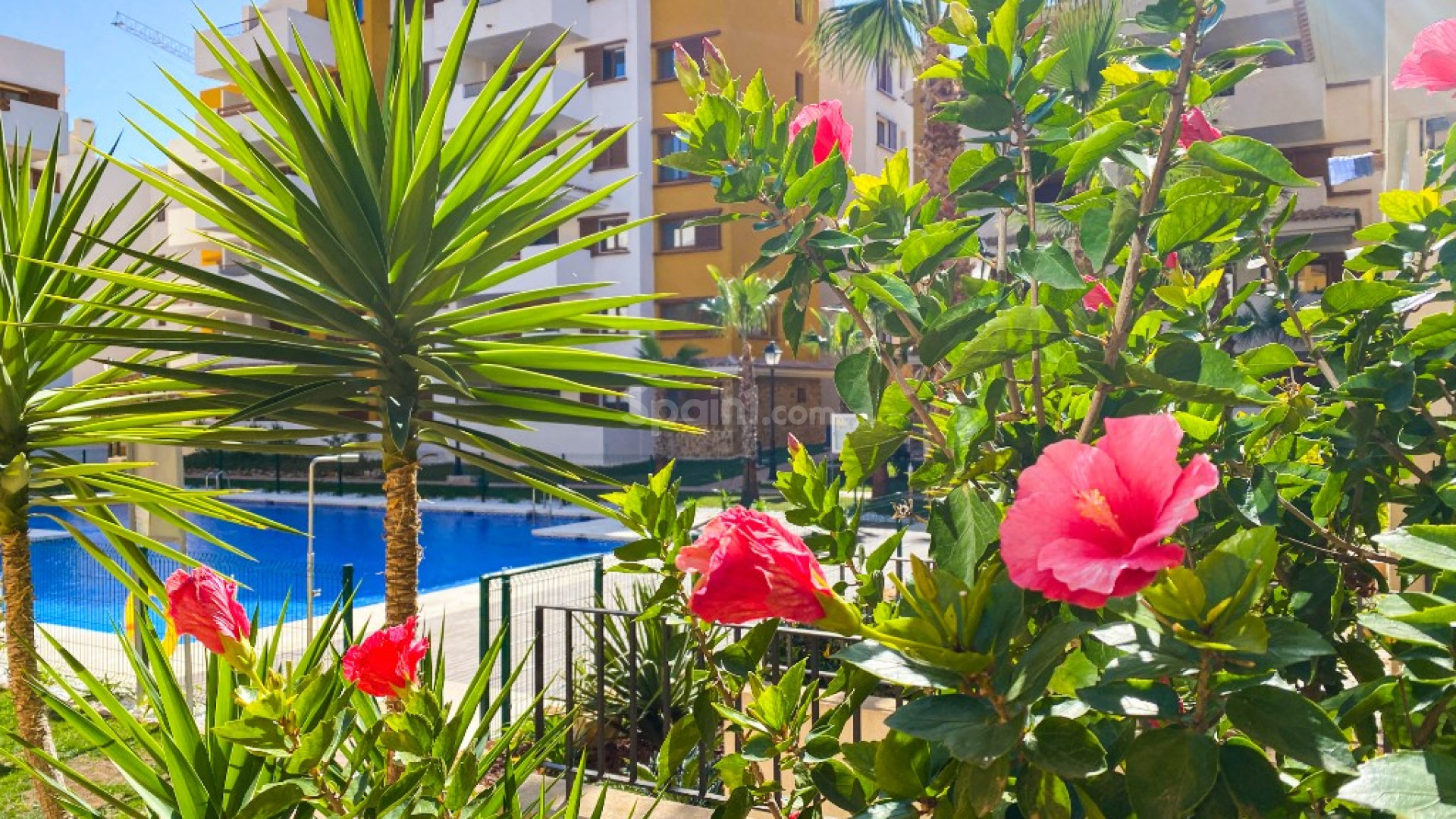 Alquiler a corto plazo - Apartamento -
Punta Prima