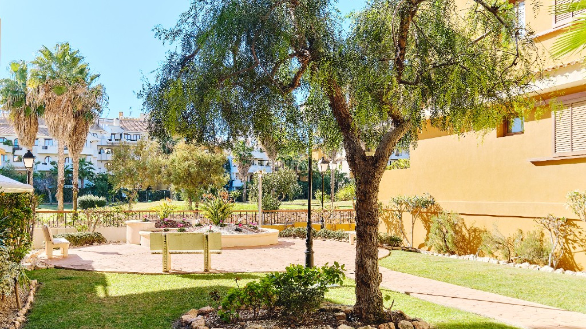 Alquiler a corto plazo - Apartamento -
Punta Prima