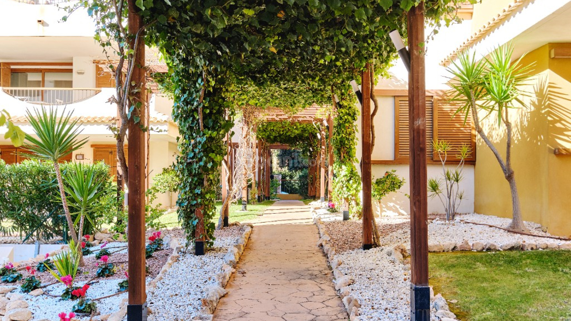 Alquiler a corto plazo - Apartamento -
Punta Prima