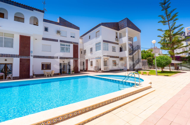 Apartamento - Resale - Punta Prima - Punta Prima