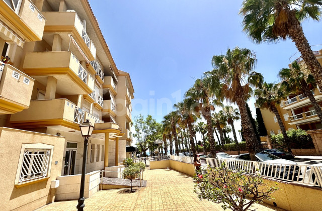Apartamento - Segunda mano - Cabo Roig - Cabo Roig
