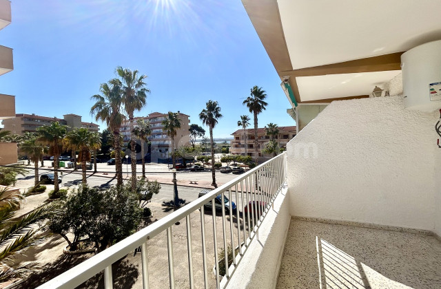 Apartamento - Segunda mano - Guardamar del Segura - Guardamar del Segura