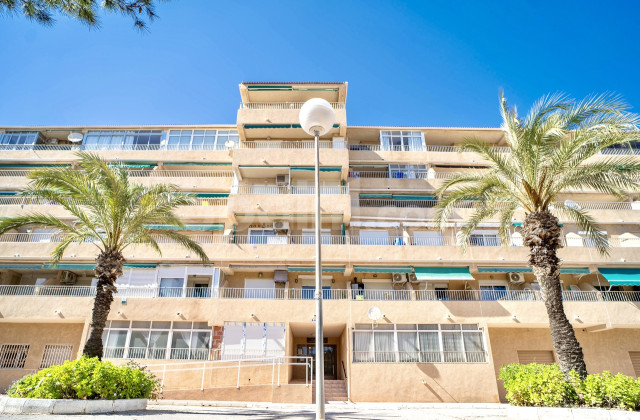 Apartamento - Segunda mano - Guardamar del Segura - Guardamar del Segura