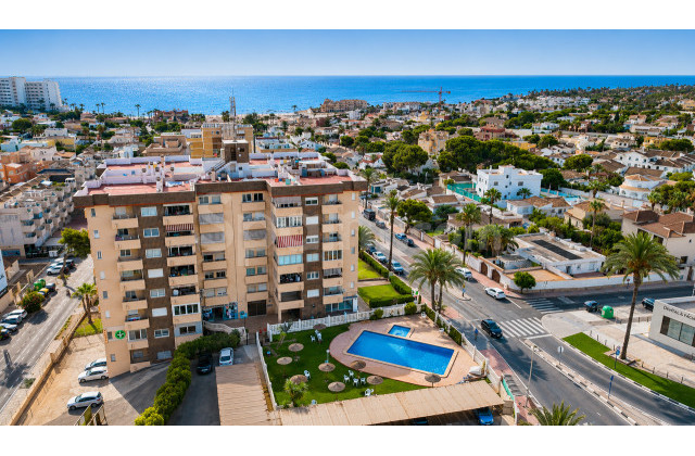 Apartamento - Segunda mano - La Zenia - La Zenia