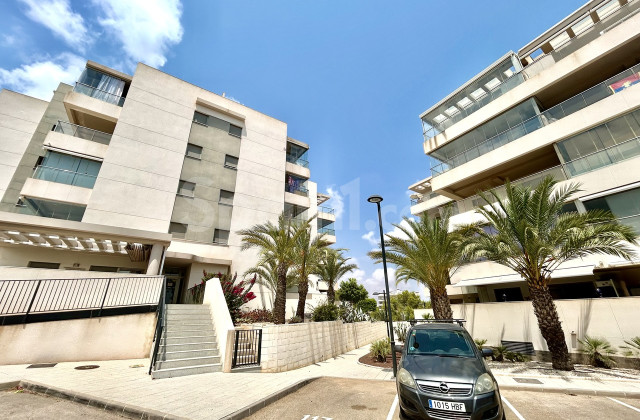 Apartamento - Segunda mano - Los Dolses - Los Dolses