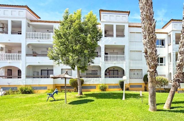Apartamento - Segunda mano - Orihuela Costa - Villamartin