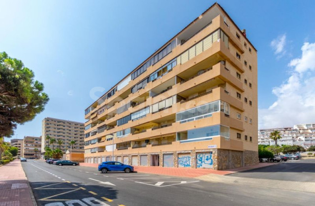 Apartamento - Segunda mano - Torrevieja - Cabo Cervera