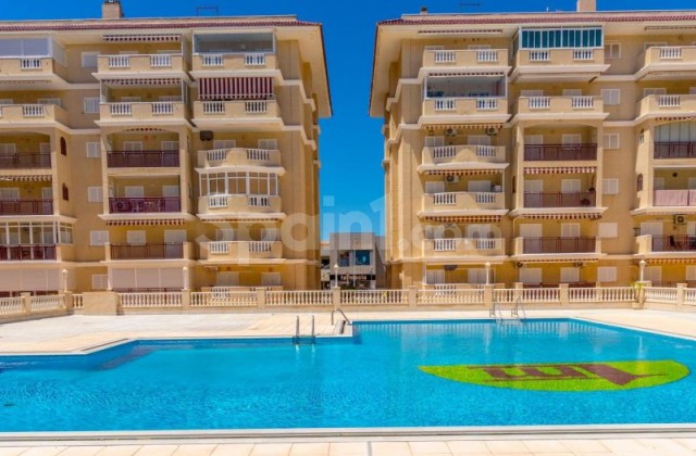Apartamento - Segunda mano - Torrevieja - La Mata