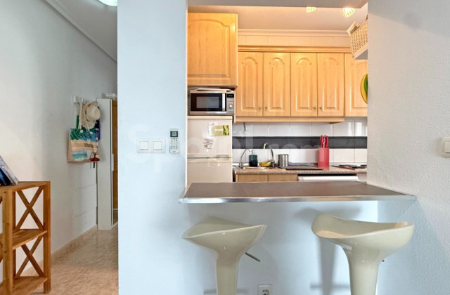Apartamento - Segunda mano - Torrevieja - MO-82520
