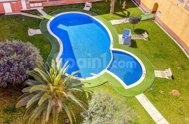 Apartamento - Segunda mano - TORREVIEJA - Parque de las Naciones