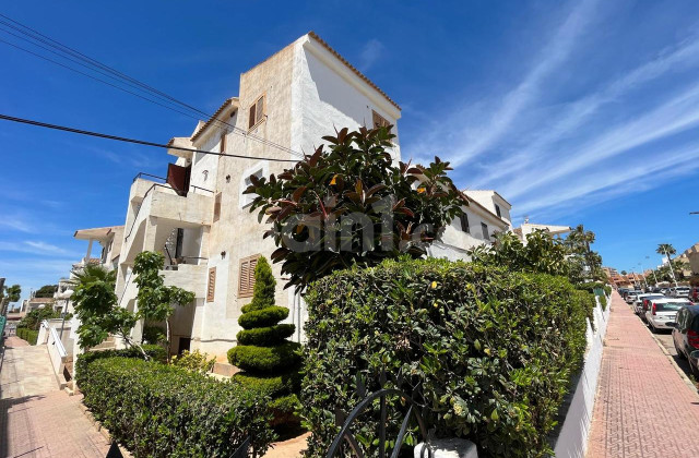 Apartamento - Segunda mano - Torrevieja - Torrevieja