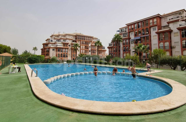 Apartamento - Segunda mano - Torrevieja -
                Torrevieja
