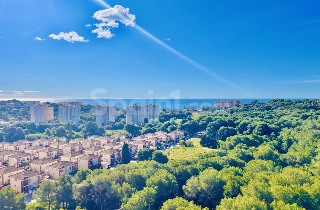 Apartment - Resale - Dehesa de Campoamor - Campoamor