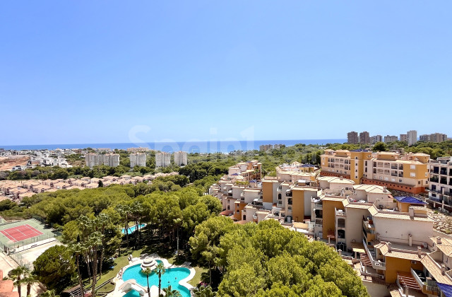 Apartment - Resale - Dehesa de Campoamor - Campoamor