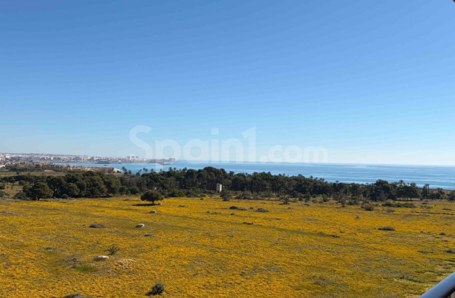 Apartment - Resale - Orihuela Costa - Punta Prima