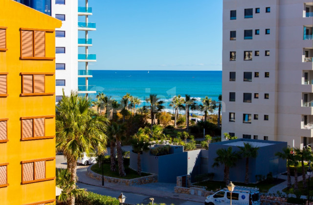 Apartment - Short time rental - Punta Prima -
                Punta Prima