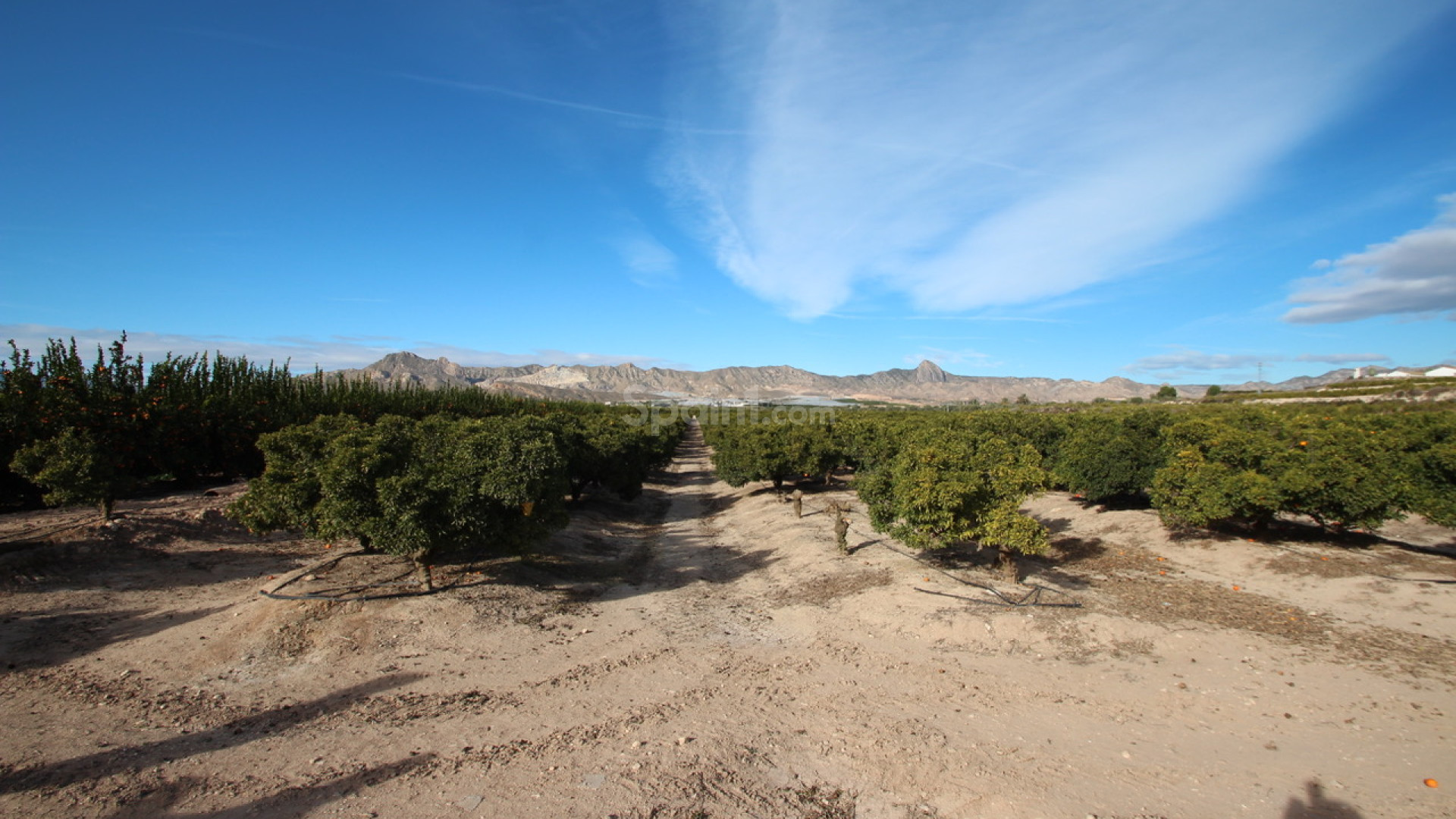 Bruktbolig - Finca / Landsted -
Murcia - Costa Blanca Sur