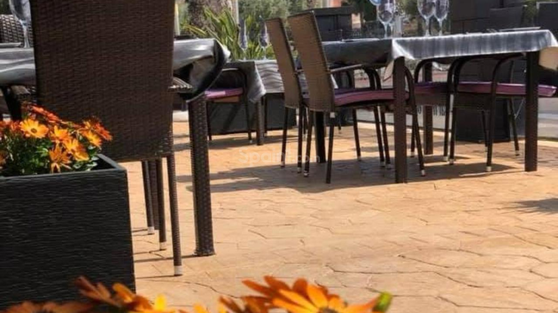 Bruktbolig - Kommersiell -
Guardamar - Guardamar del Segura