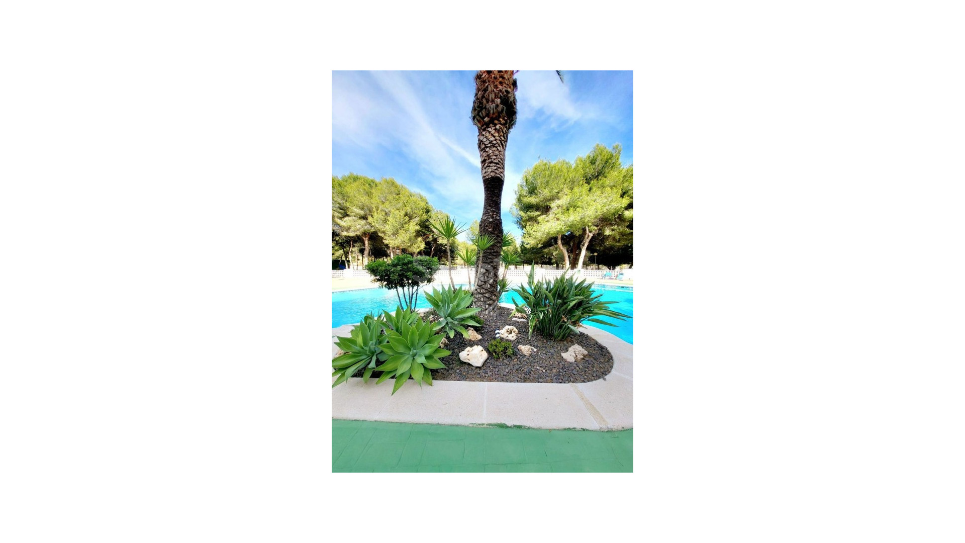 Bruktbolig - Leilighet -
Dehesa de Campoamor - Campoamor