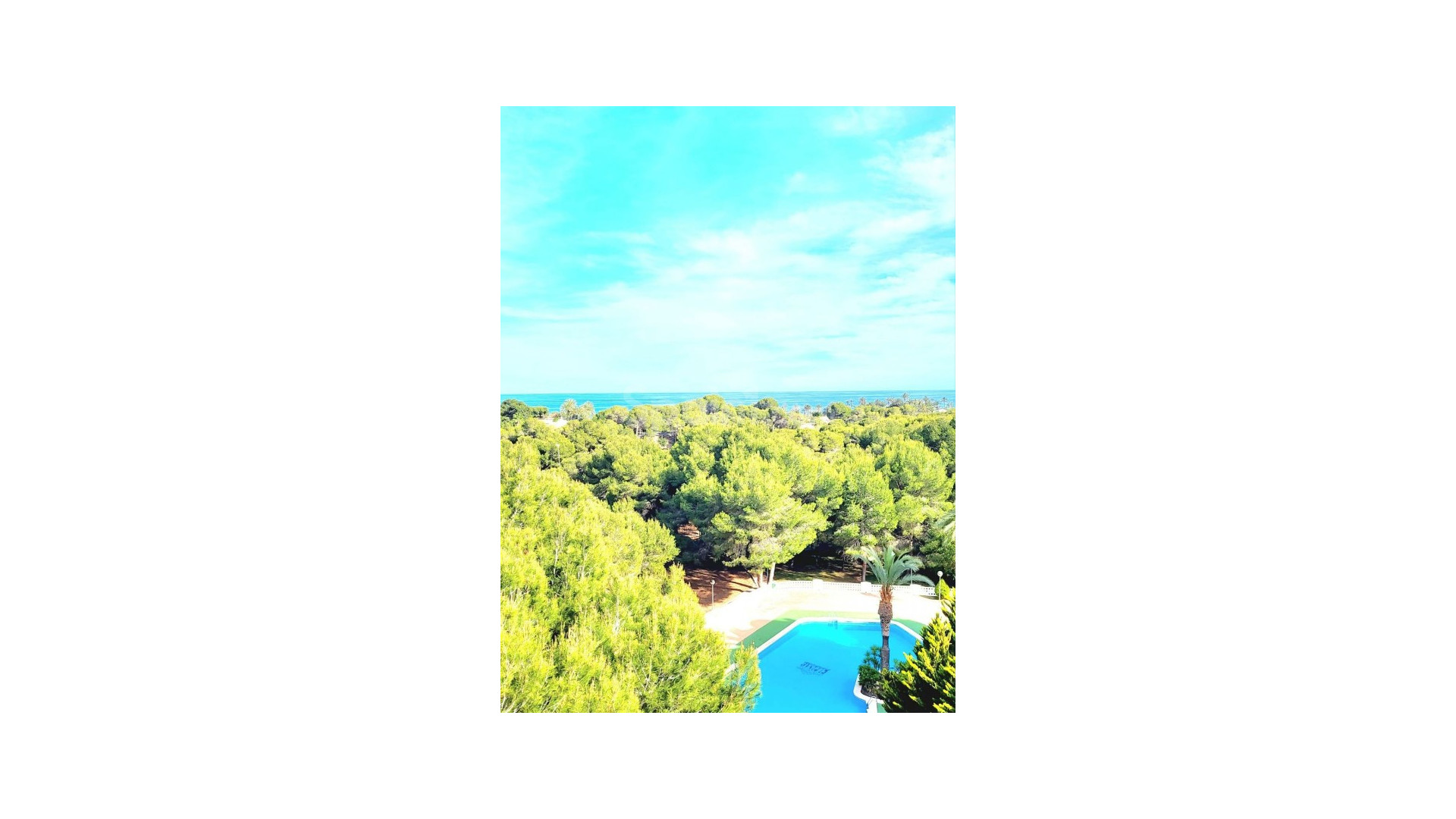 Bruktbolig - Leilighet -
Dehesa de Campoamor - Campoamor