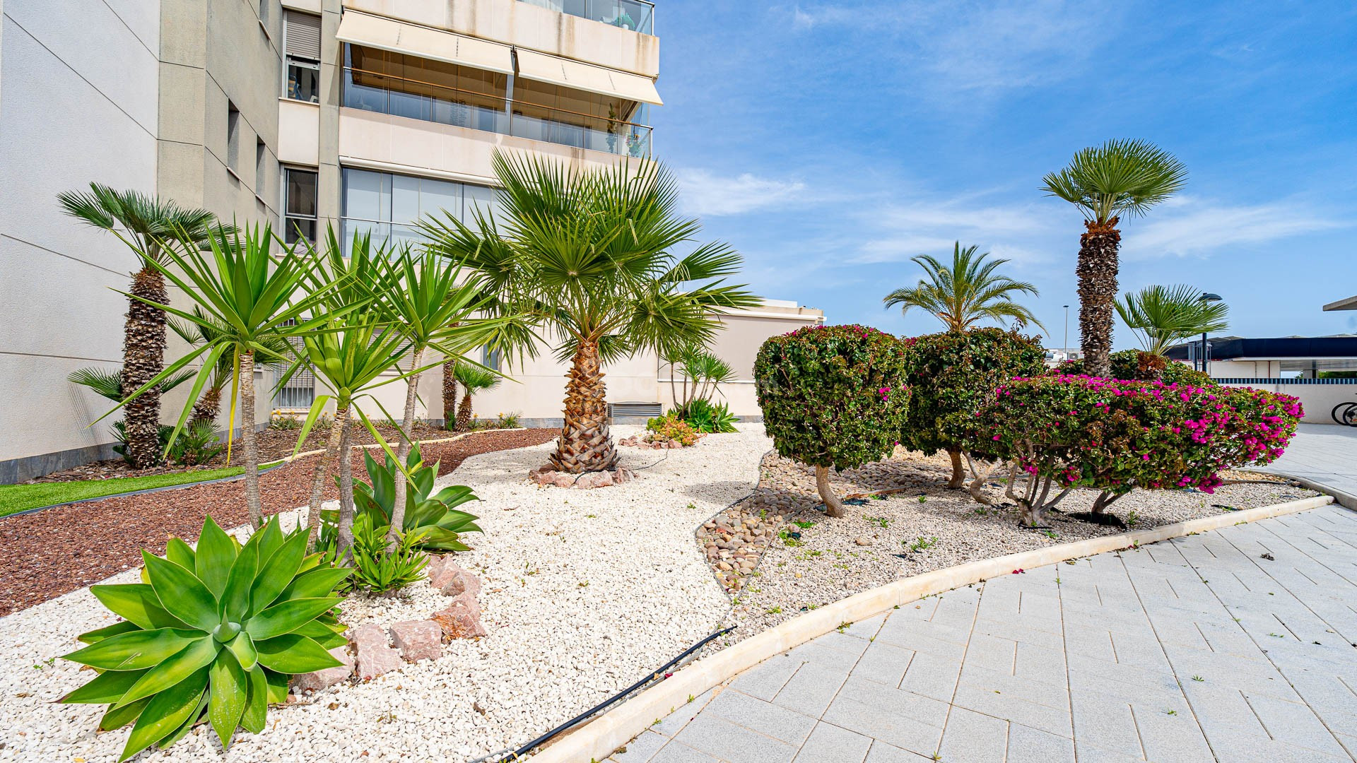 Bruktbolig - Leilighet -
Orihuela-Costa - Los Dolses