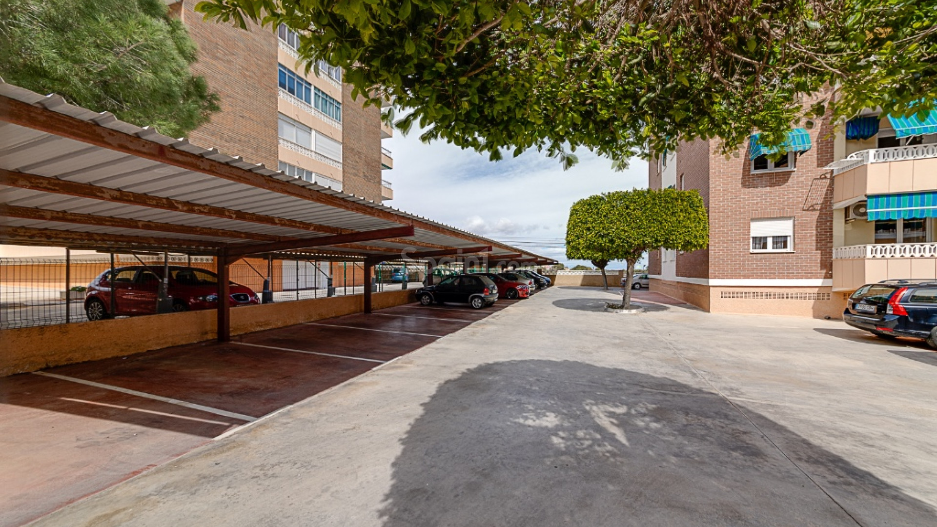 Bruktbolig - Leilighet -
Punta Prima