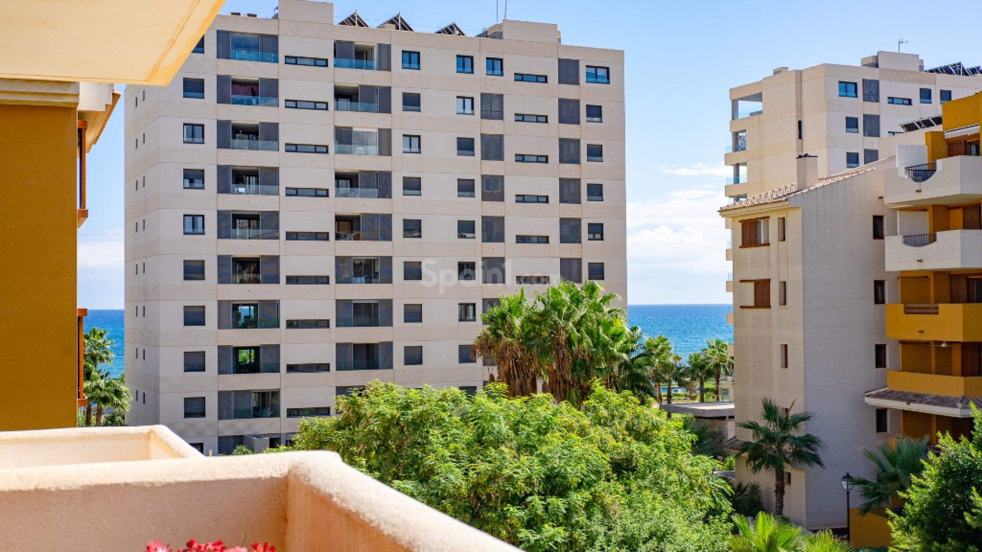 Bruktbolig - Leilighet -
Punta Prima