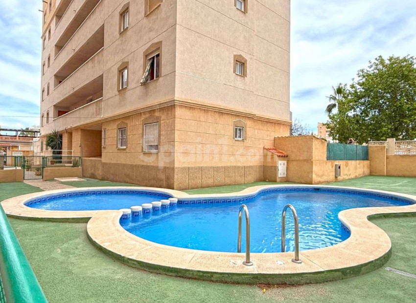 Bruktbolig - Leilighet -
Torrevieja - Nueva Torrevieja - Aguas Nuevas