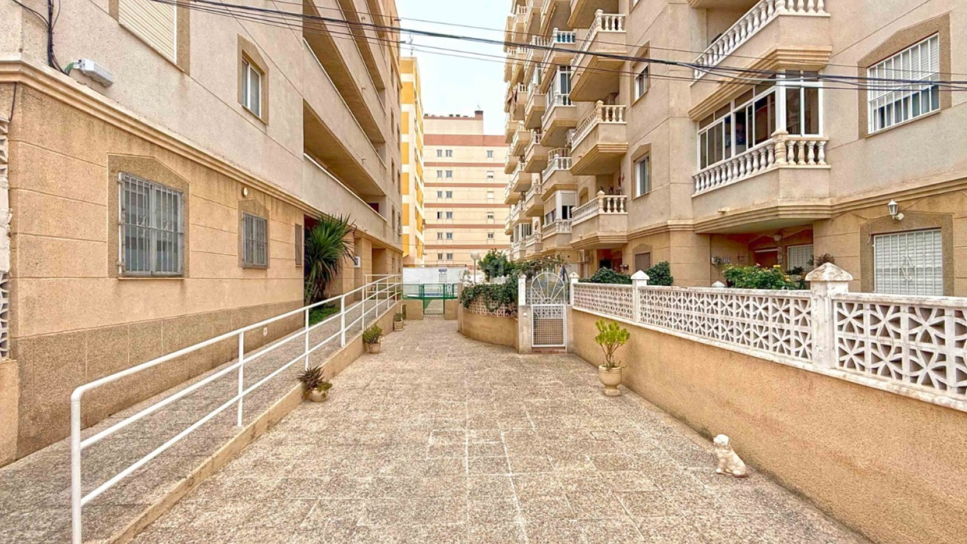 Bruktbolig - Leilighet -
Torrevieja - Nueva Torrevieja - Aguas Nuevas