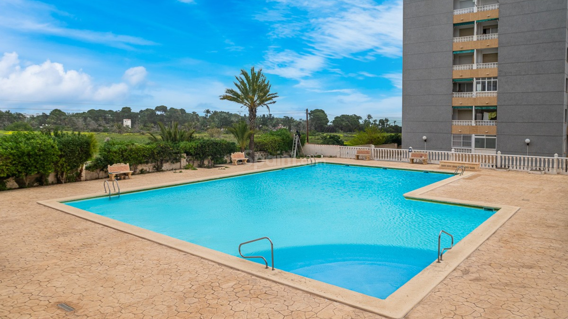 Bruktbolig - Leilighet -
TORREVIEJA - Punta Prima