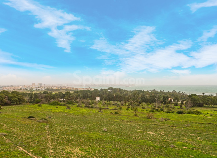 Bruktbolig - Leilighet -
TORREVIEJA - Punta Prima