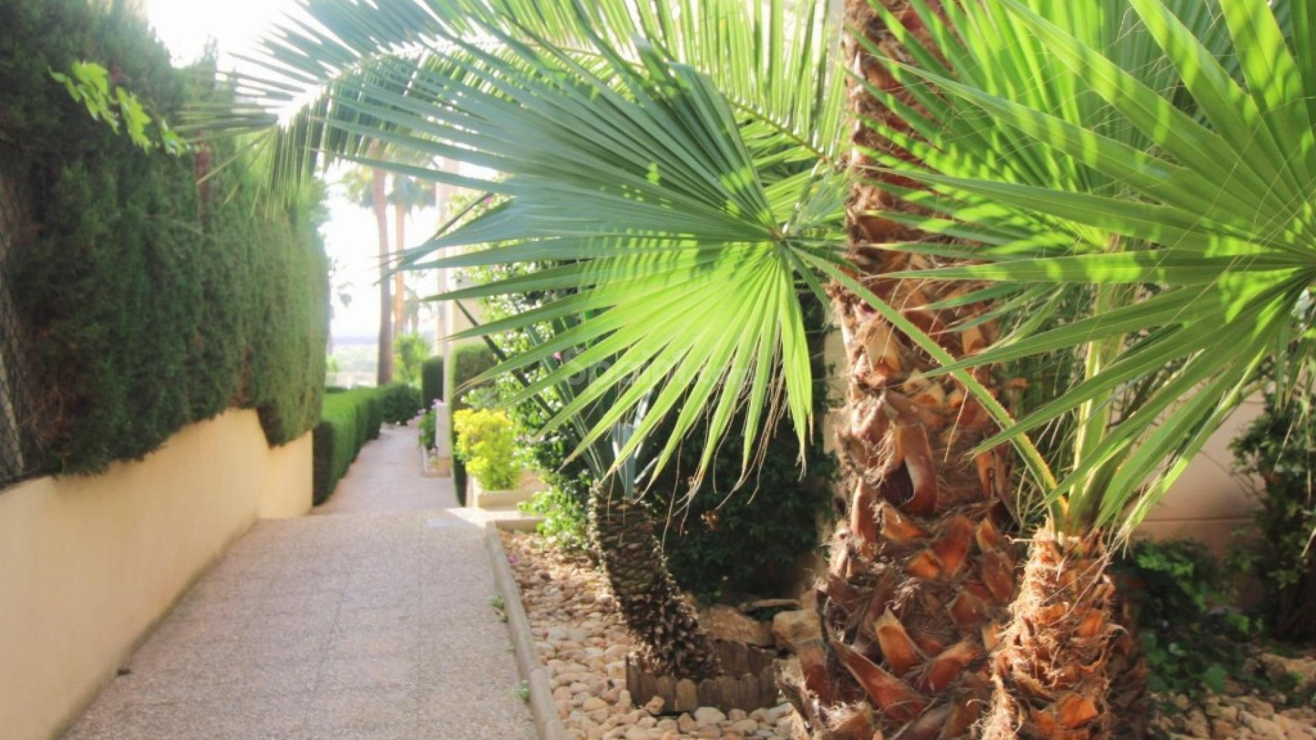 Bruktbolig - Leilighet -
Torrevieja