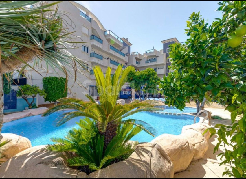 Bruktbolig - Penthouse -
Cabo Roig