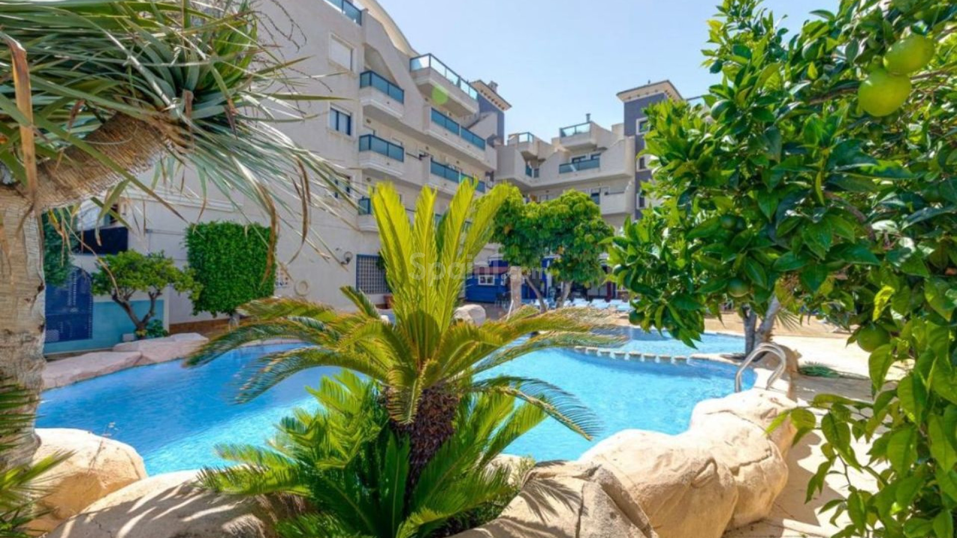 Bruktbolig - Penthouse -
Cabo Roig
