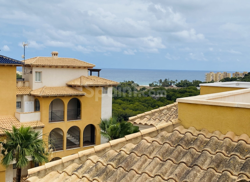 Bruktbolig - Penthouse -
Dehesa de Campoamor - Campoamor
