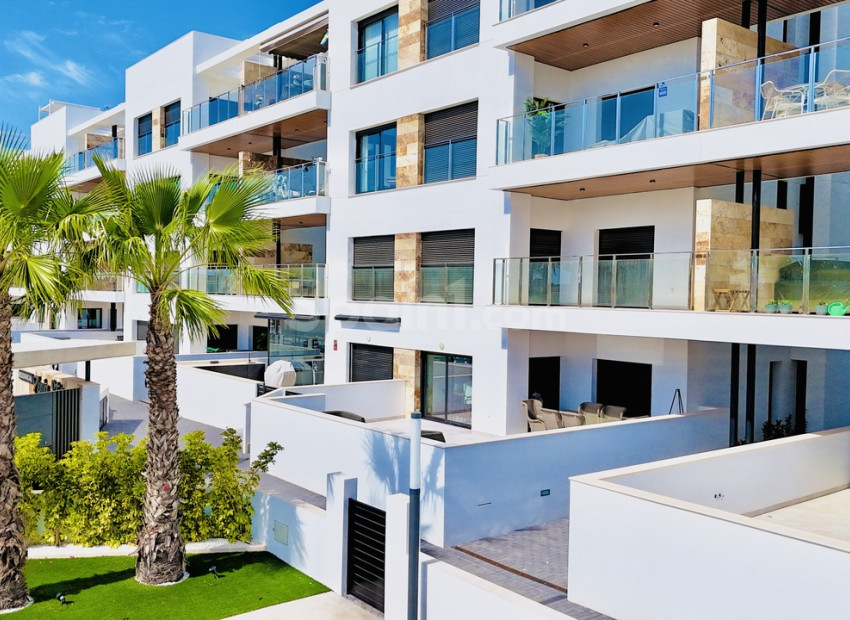 Bruktbolig - Penthouse -
La Zenia