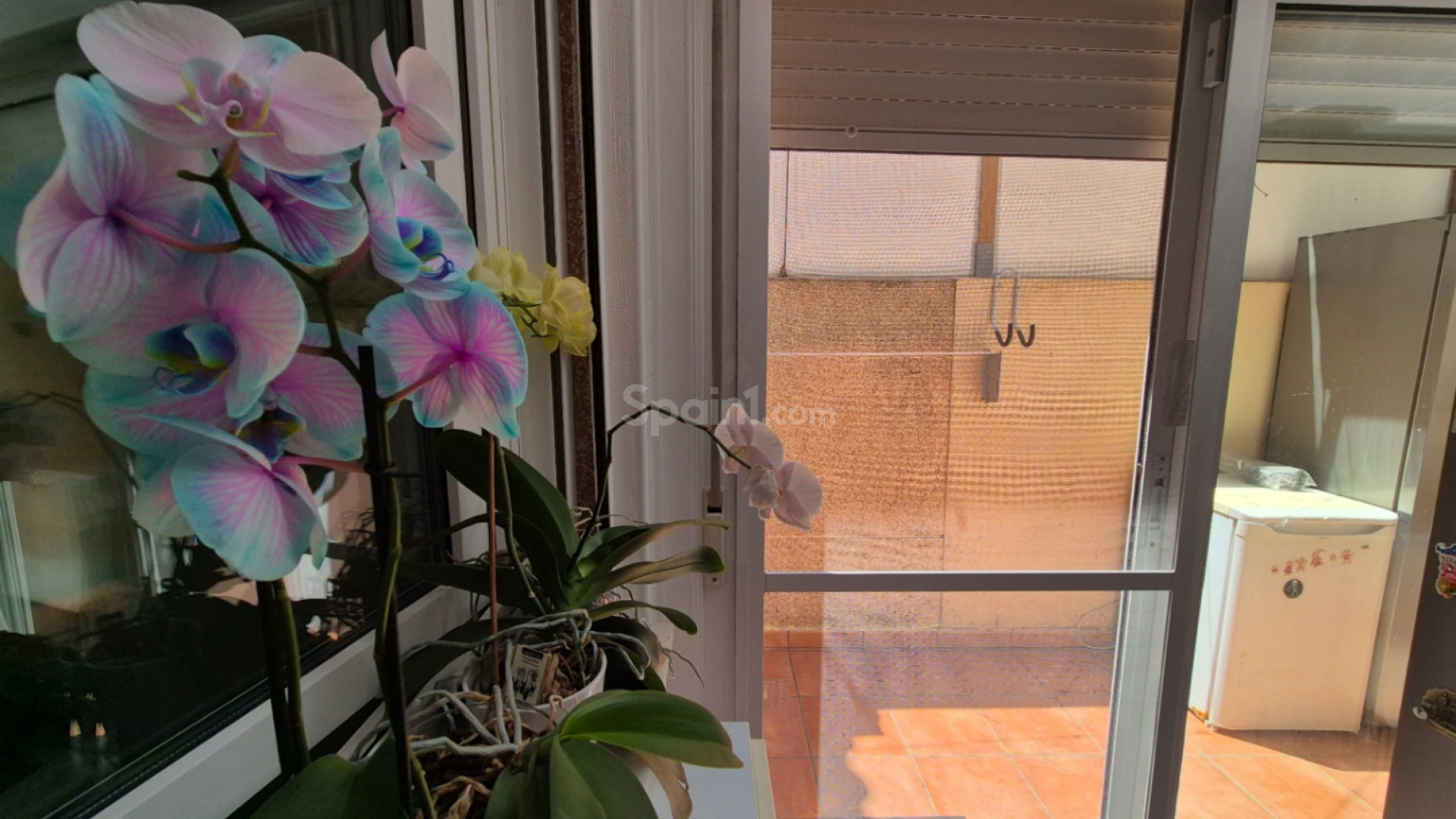 Bruktbolig - Rekkehus -
Torrevieja - Costa Blanca Sur