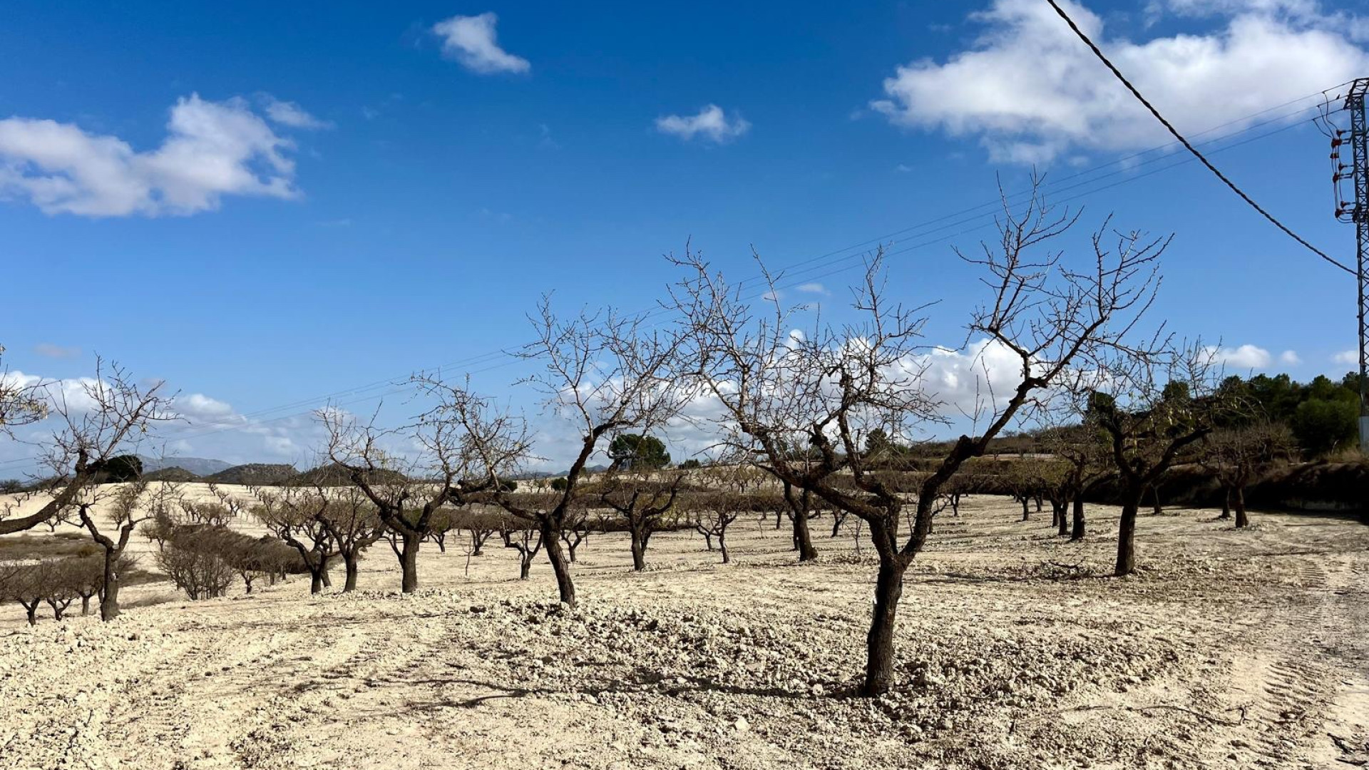 Bruktbolig - Tomt / Land -
Bullas - Costa Calida