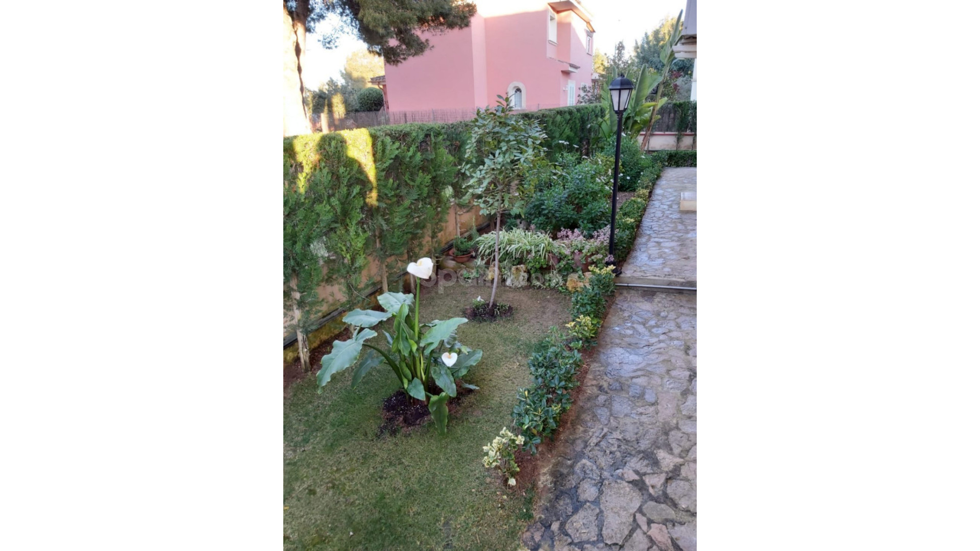 Bruktbolig - Villa -
Marrachí - Mallorca