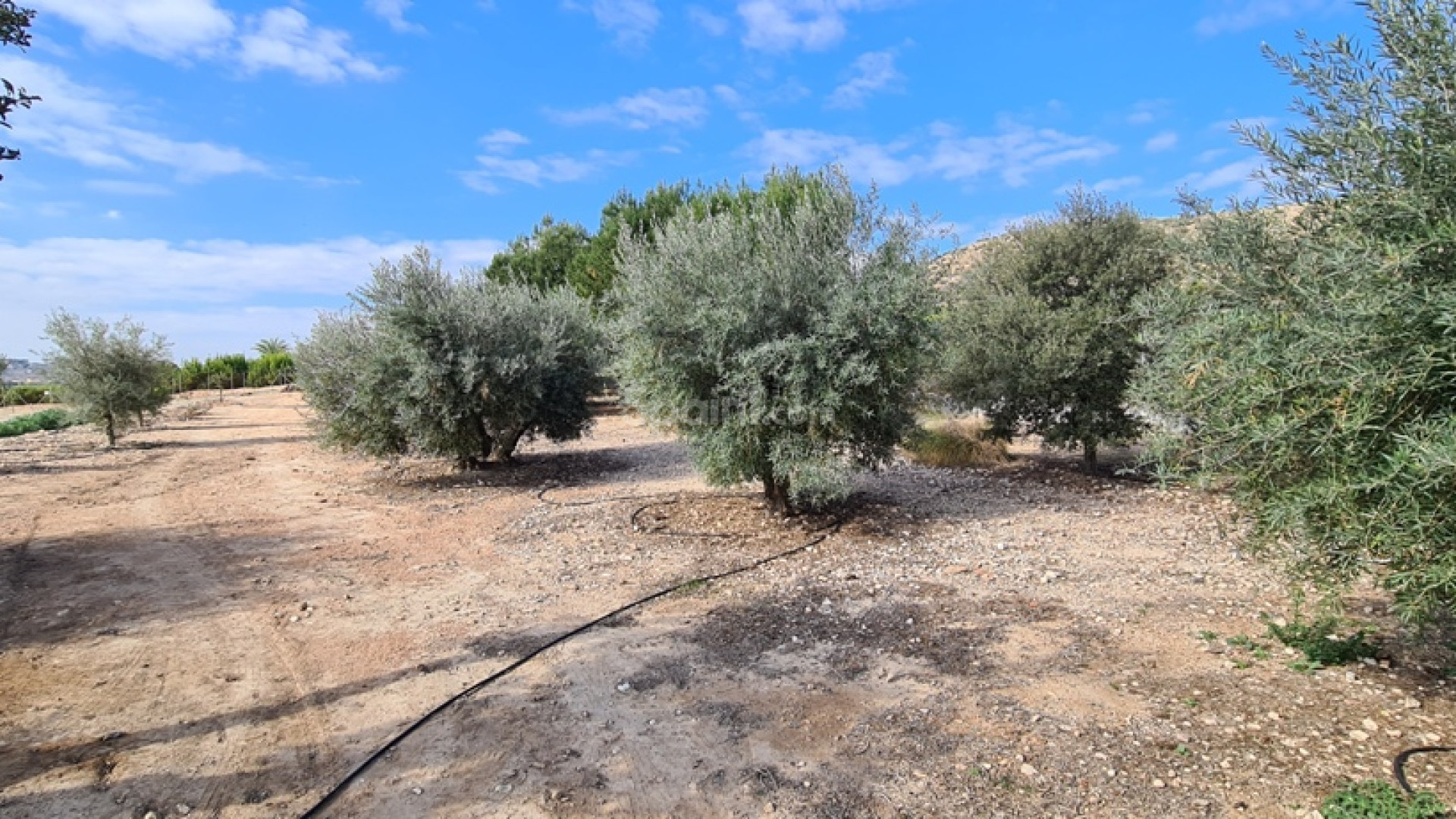 Bruktbolig - Villa -
ORIHUELA - La Matanza