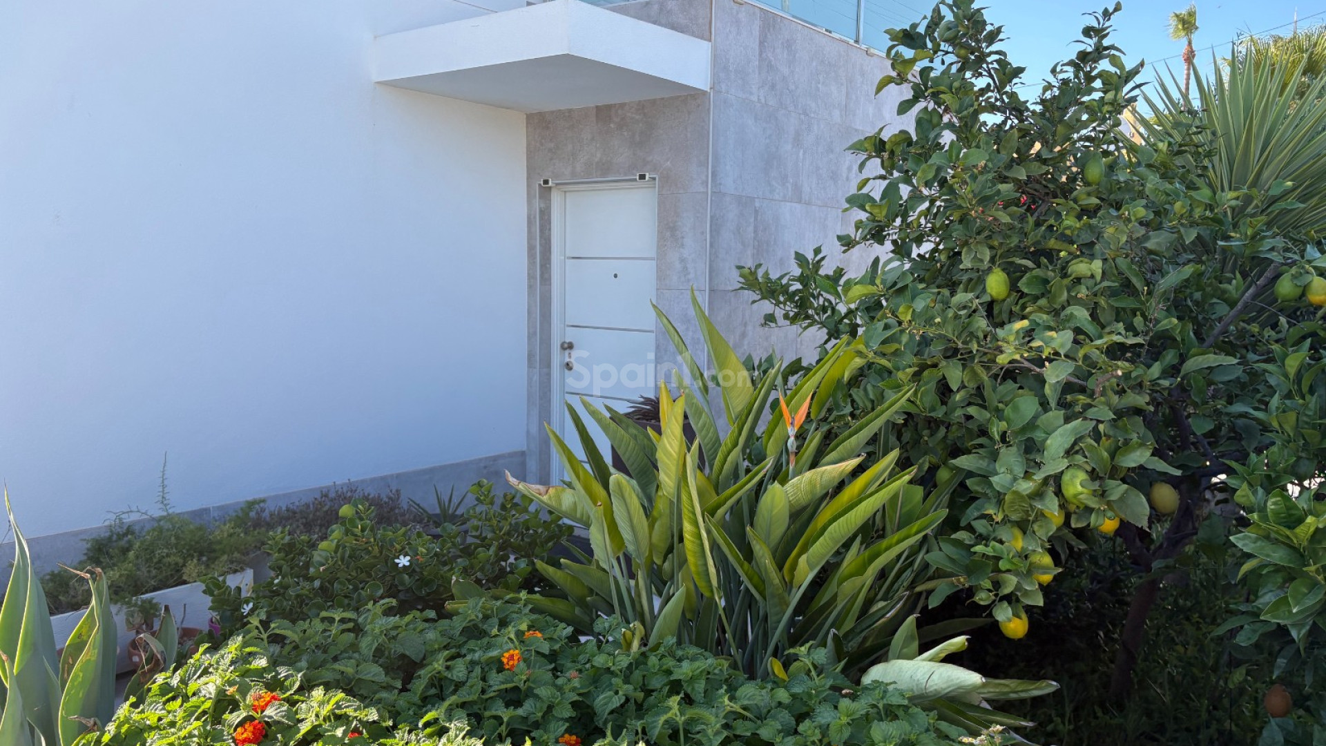 Bruktbolig - Villa -
TORREVIEJA - Torreta - Florida