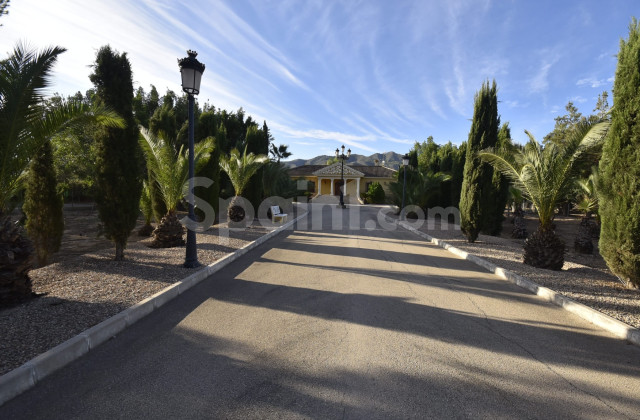 Country Property/Finca - Resale - La Matanza - La Matanza