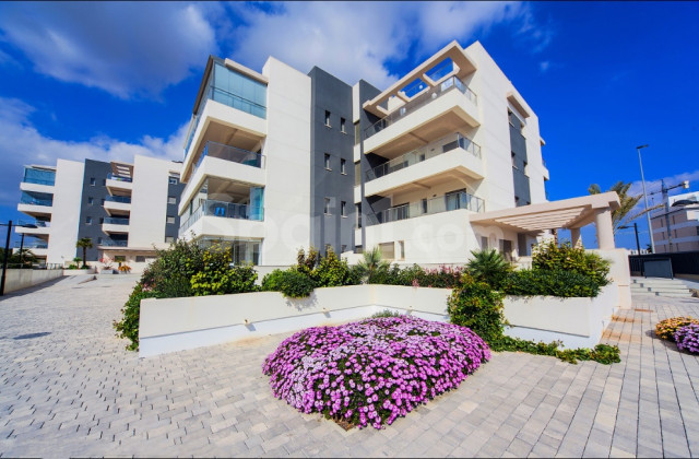 Lägenhet - New Build - Villamartín - Villamartin