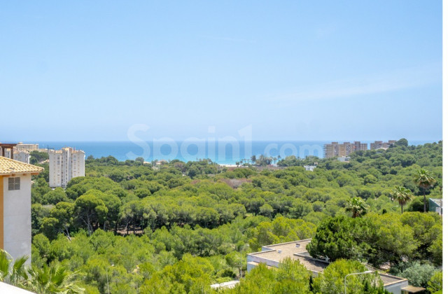 Lägenhet - Resale - Dehesa de Campoamor - Campoamor